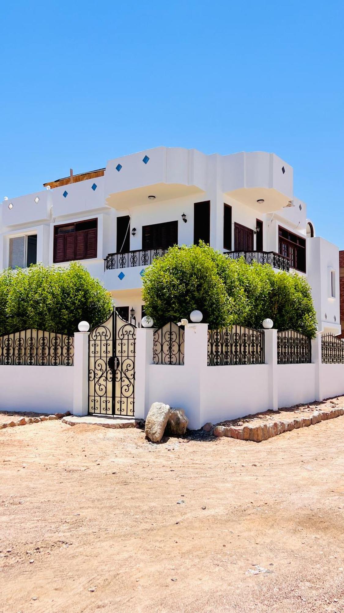 Rafiki Hostels - Dahab Eksteriør billede